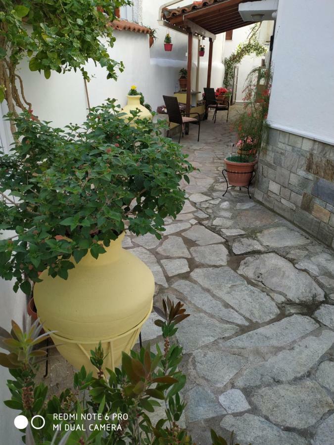 Pension Nikolas Skiathos-Stadt Exterior foto